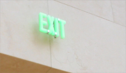 A custom LED EXIT sign was designed for installation in the award-winning Nasher Sculpture Center in Dallas, Texas. Renowned architect, Renzo Piano, created a space of simplicity and beauty where attention is directed on the artwork not the structure. The EXIT sign in striking green color has excellent smoke visibility, yet blends into the modern setting.<br /><br />Services included: design development, engineering, LED technology